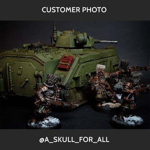 Modular Hostile Environment Filter for Chimera